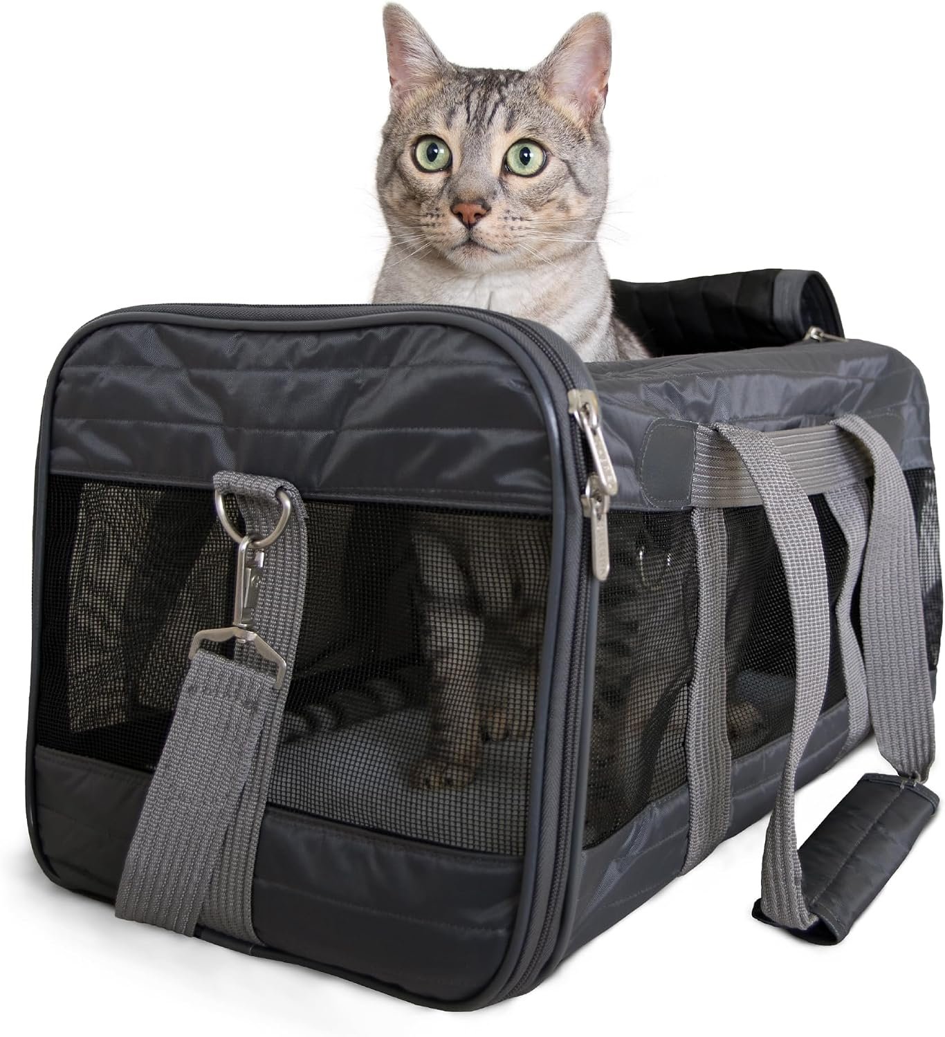 Sherpa Pet Carrier Airline Approved with Spring Wire Frame – Cat Carrier and Dog Carriers for Airline Travel and Vet Visits, Mesh Ventilation, Locking Zippers – Charcoal Grey, Large