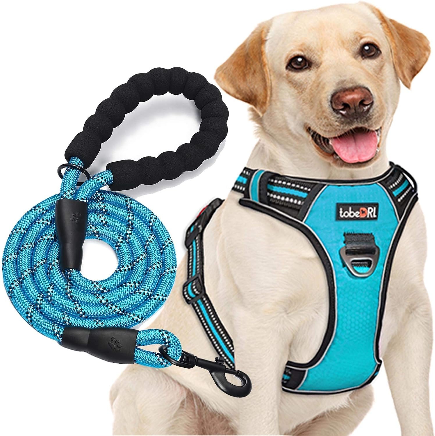 tobeDRI No Pull Dog Harness Adjustable Reflective Oxford Easy Control Medium Large Dog Harness with A Free Heavy Duty 5ft Dog Leash, Turquoise, L