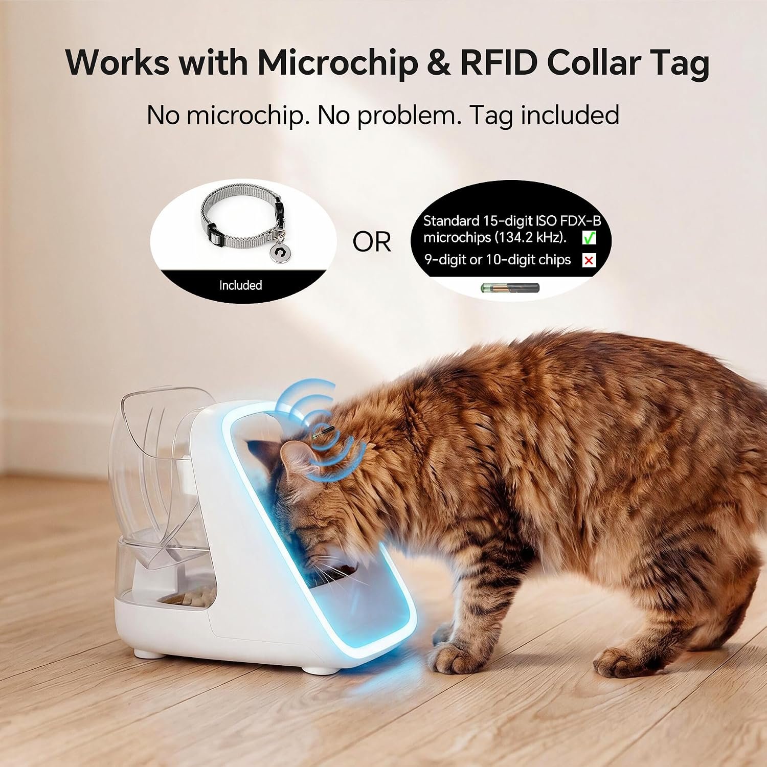 Elevated Microchip Automatic Cat Feeder for Multi-Cat Homes