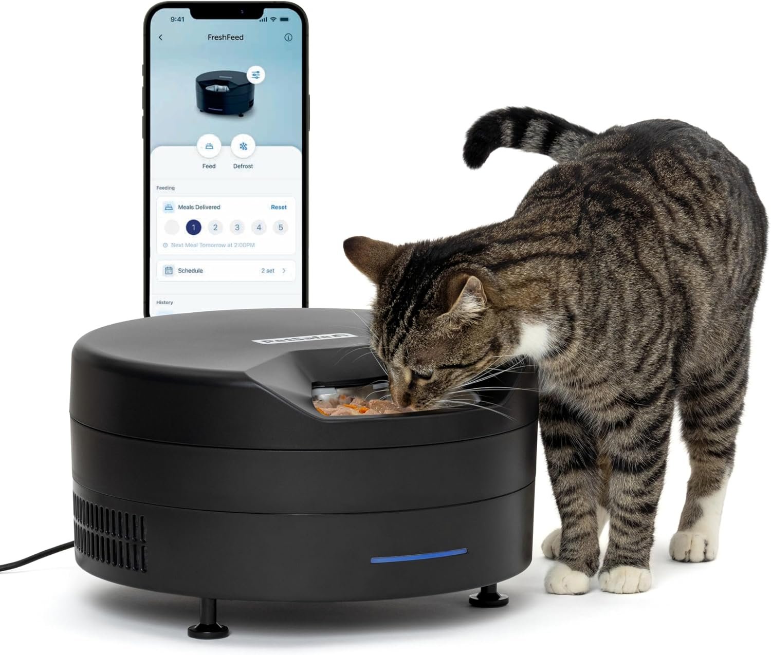 PetSafe FreshFeed Refrigerated Automatic Wet Food Feeder, 6 Meals, Black