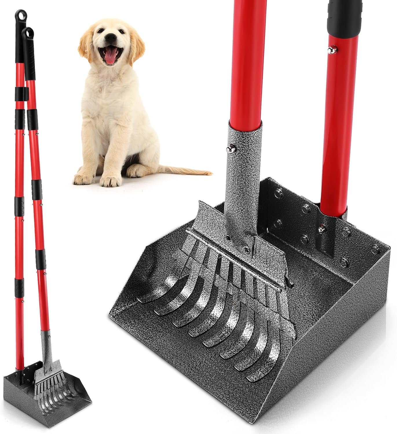 Pooper Scooper for Dogs, Sturdy Stainless Steel Rake & Tray Set