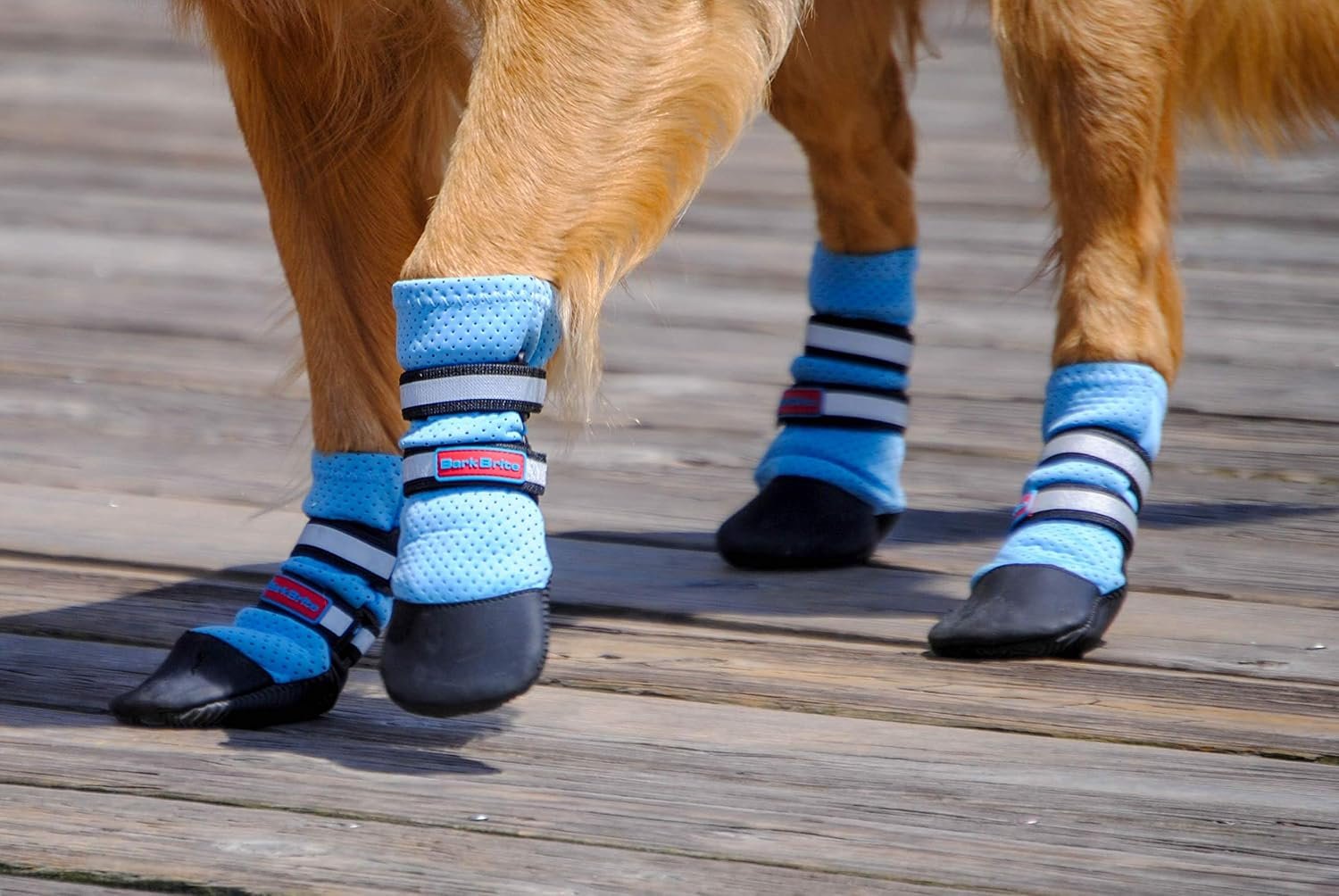 Bark Brite Lightweight Neoprene Paw Protector Dog Boots Designed for Comfort and Breathability in 5 Sizes (Blue Md)