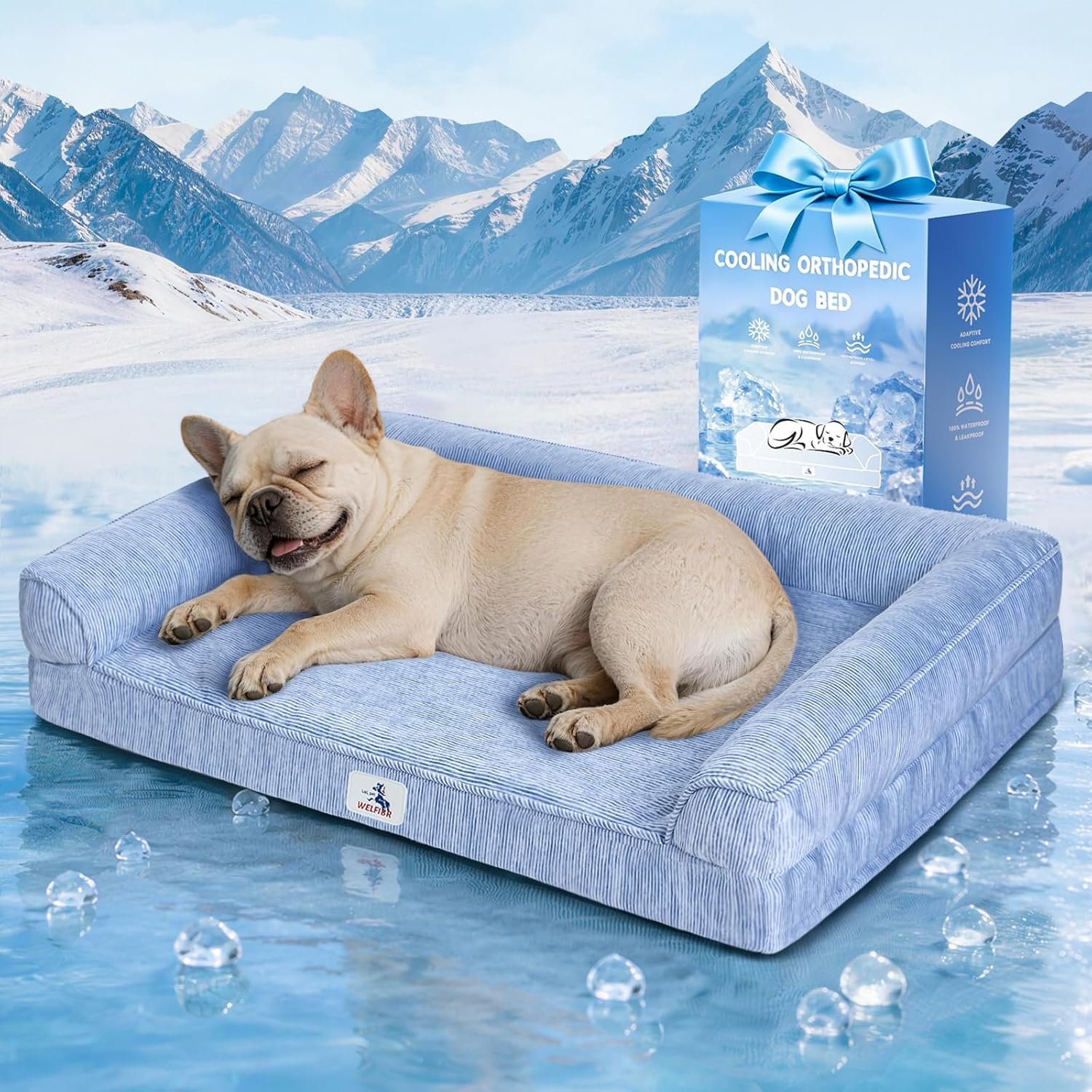 Cooling Dog Bed Orthopedic for Small Dogs ＆ Instant Chill＆ Egg Crate Foam