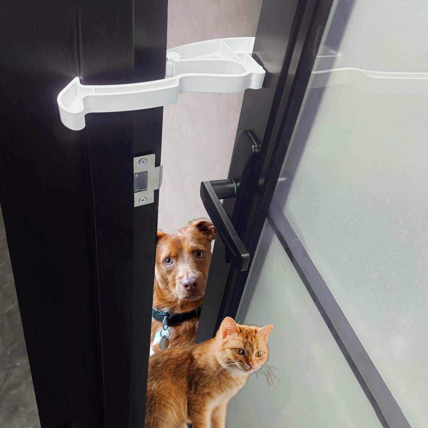 Cat Door Latch, Cat Door Stopper Lock to Keep Dogs Out of Litter Box, Interior Door Dog Proof for Cat, No Tool Need for Installation and No Damage for Doors [U.S Patent Pending] (White 1 Pack)