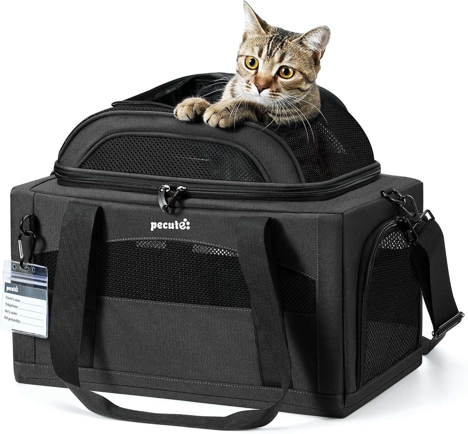 Pecute Top Expandable Airline Approved Pet Carrier for Cats, Dark Gray