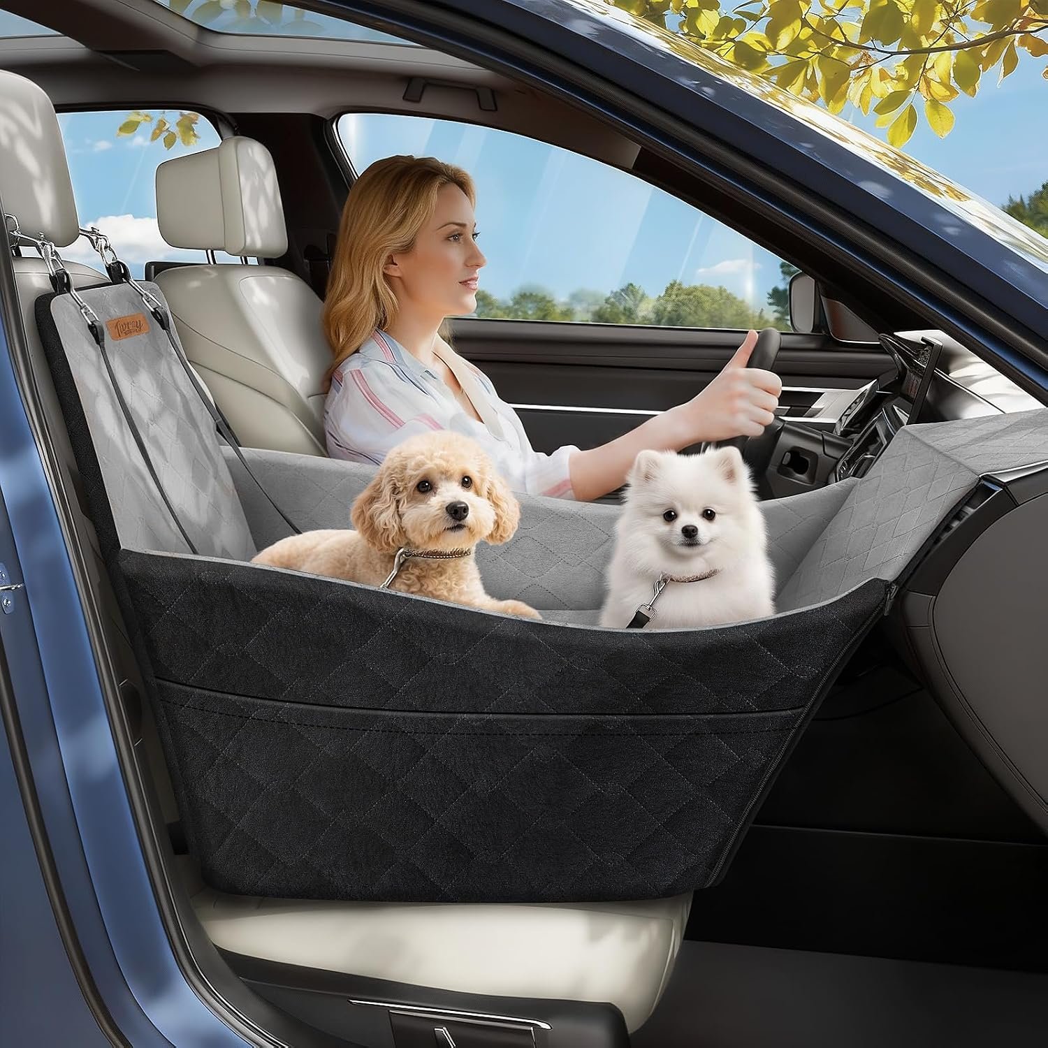 Elevated Dog Car Seat for Small and Medium Dogs Up to 35 lb