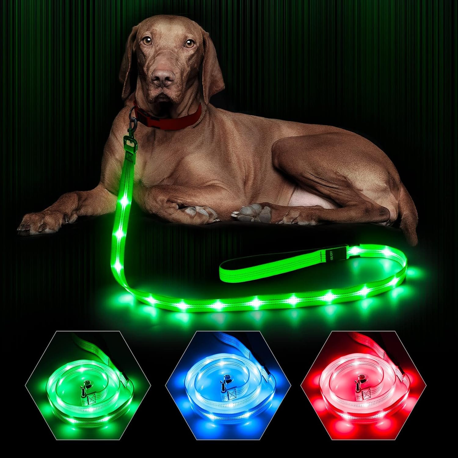 BSEEN Light Up Dog Leash, 4Ft LED Dog Leash Rechargeable Reflective Dog Lead Glowing Safety Dog Lights for Night Walking (Green Ⅱ, 120cm)