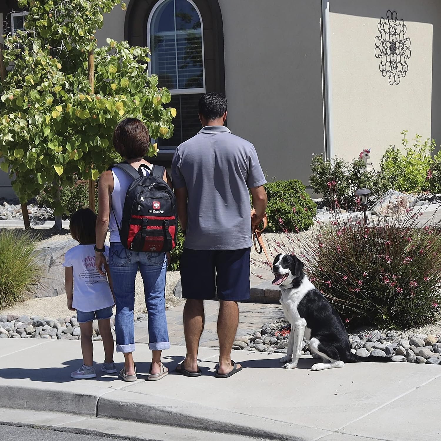 Pet Emergency Survival Kit for Big Dogs