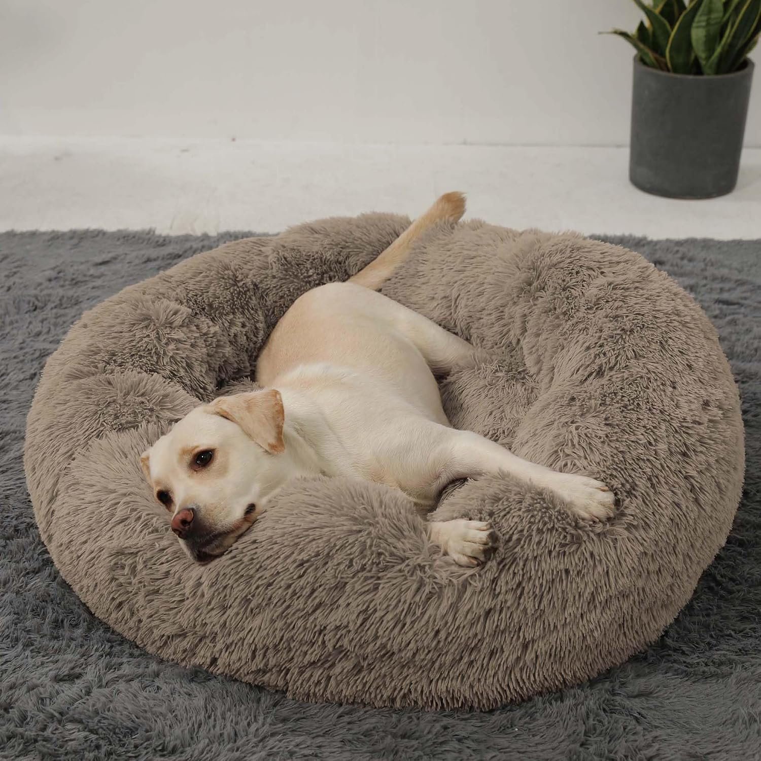 HACHIKITTY Calming Donut Cuddler Dog Bed, Round Fluffy Pet Bed with Sewn-in Cushion for Large Dogs,Washable, Large, Taupe, 30”