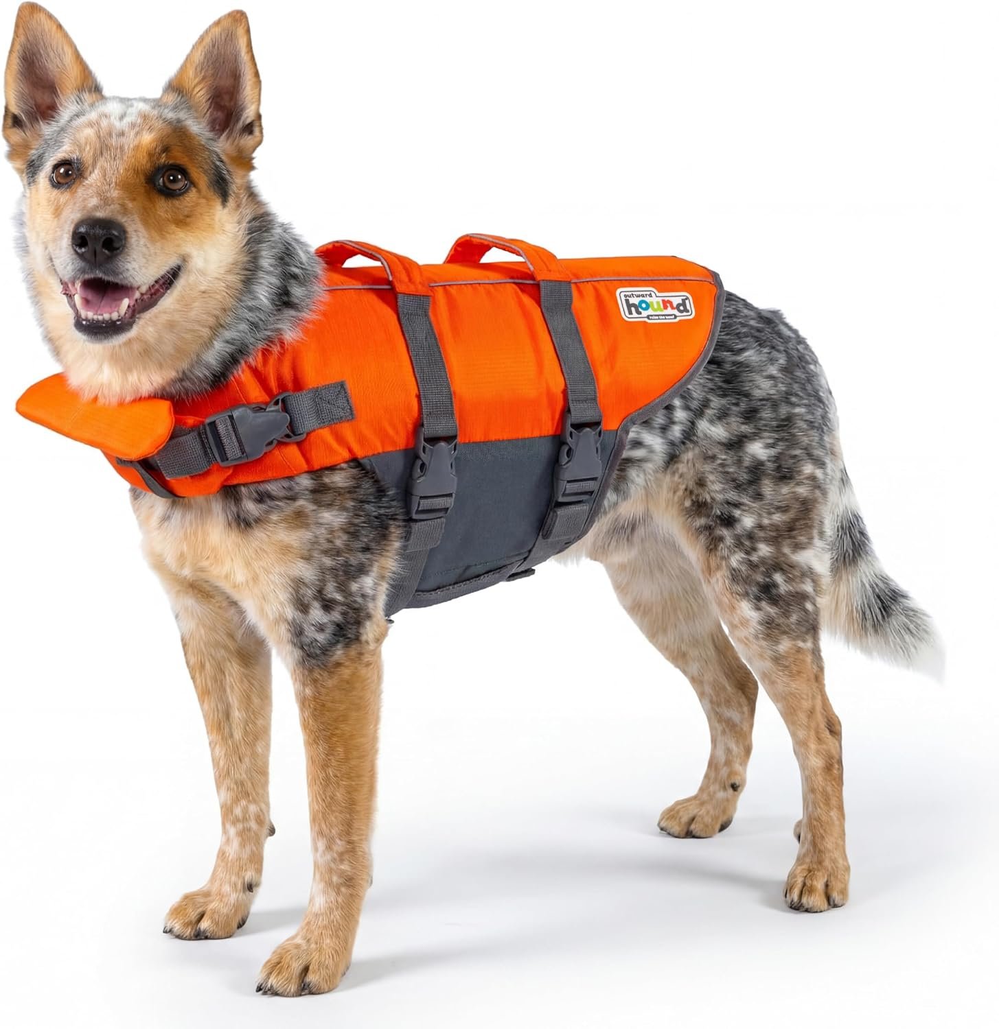 Outward Hound Granby Splash Dog Life Jacket, Life Vest, Orange, Medium