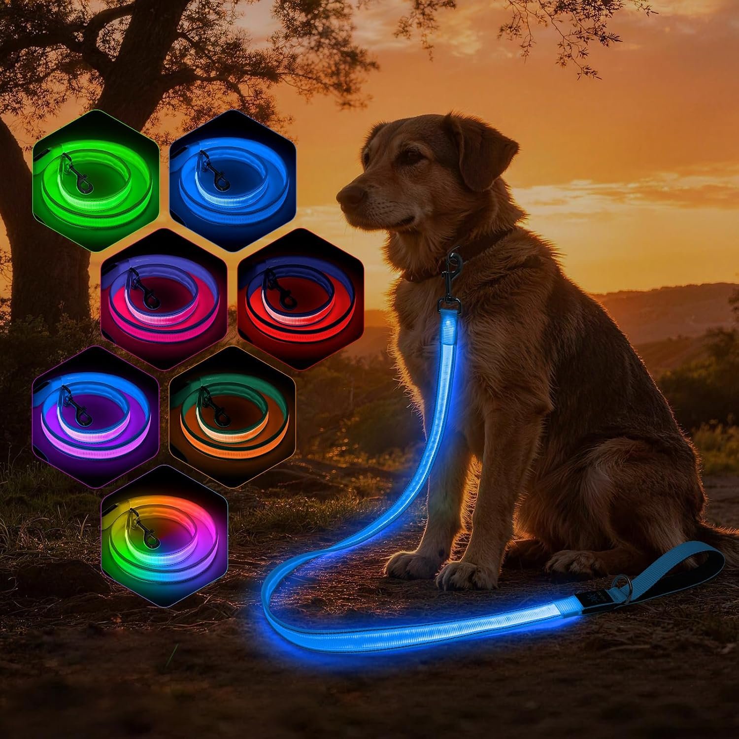 Colaseeme Light Up Dog Leash, USB Rechargeable, LED, Blue, 4FT