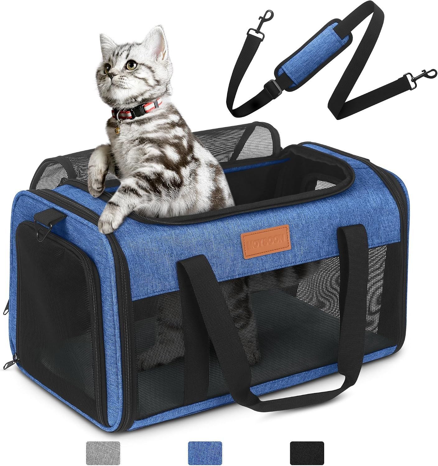 PETUX Airline Approved Pet Carrier for Small Cats up to 12 lb, Blue