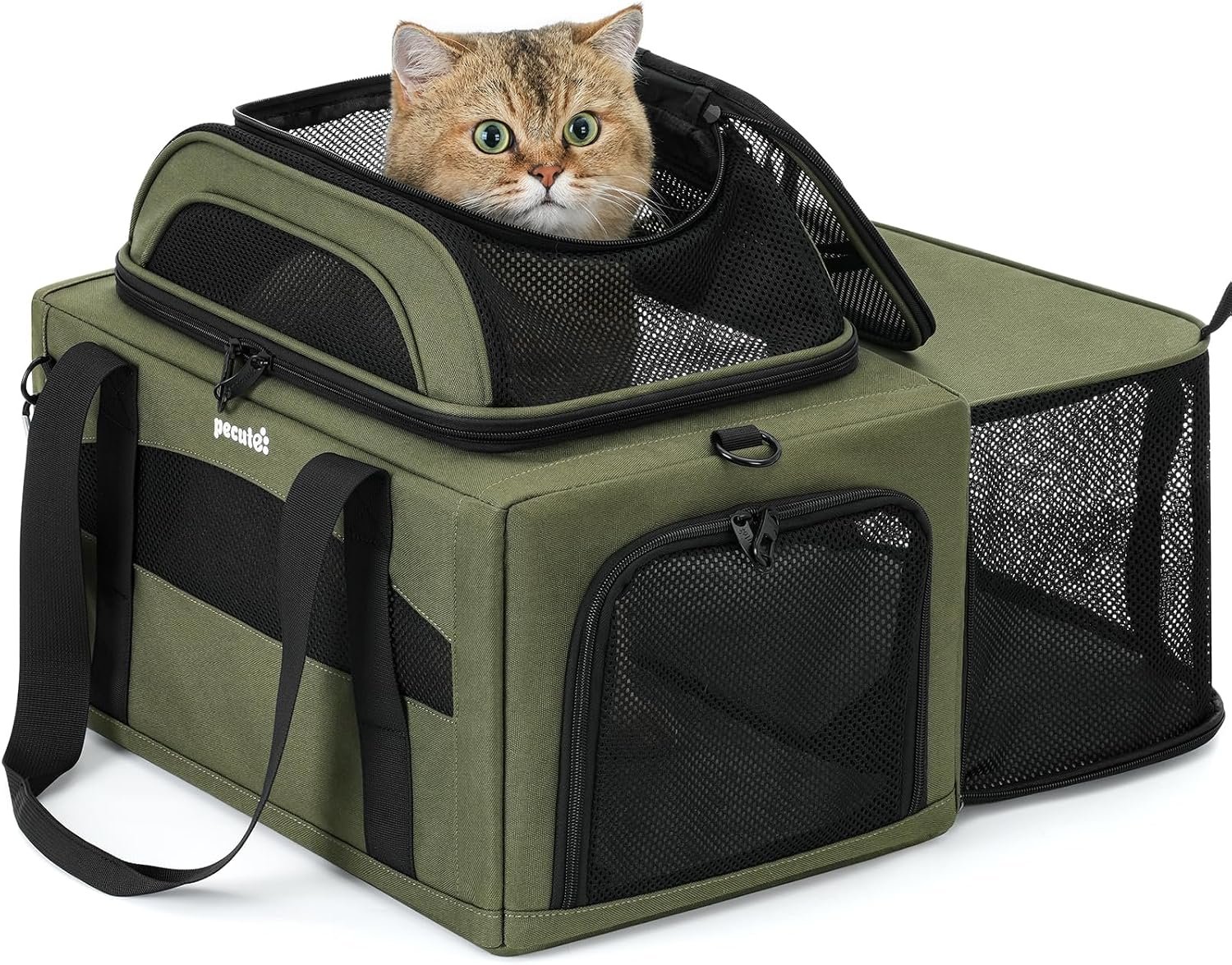 Pecute Top Expandable Airline Approved Pet Carrier for Cats, Olive Green