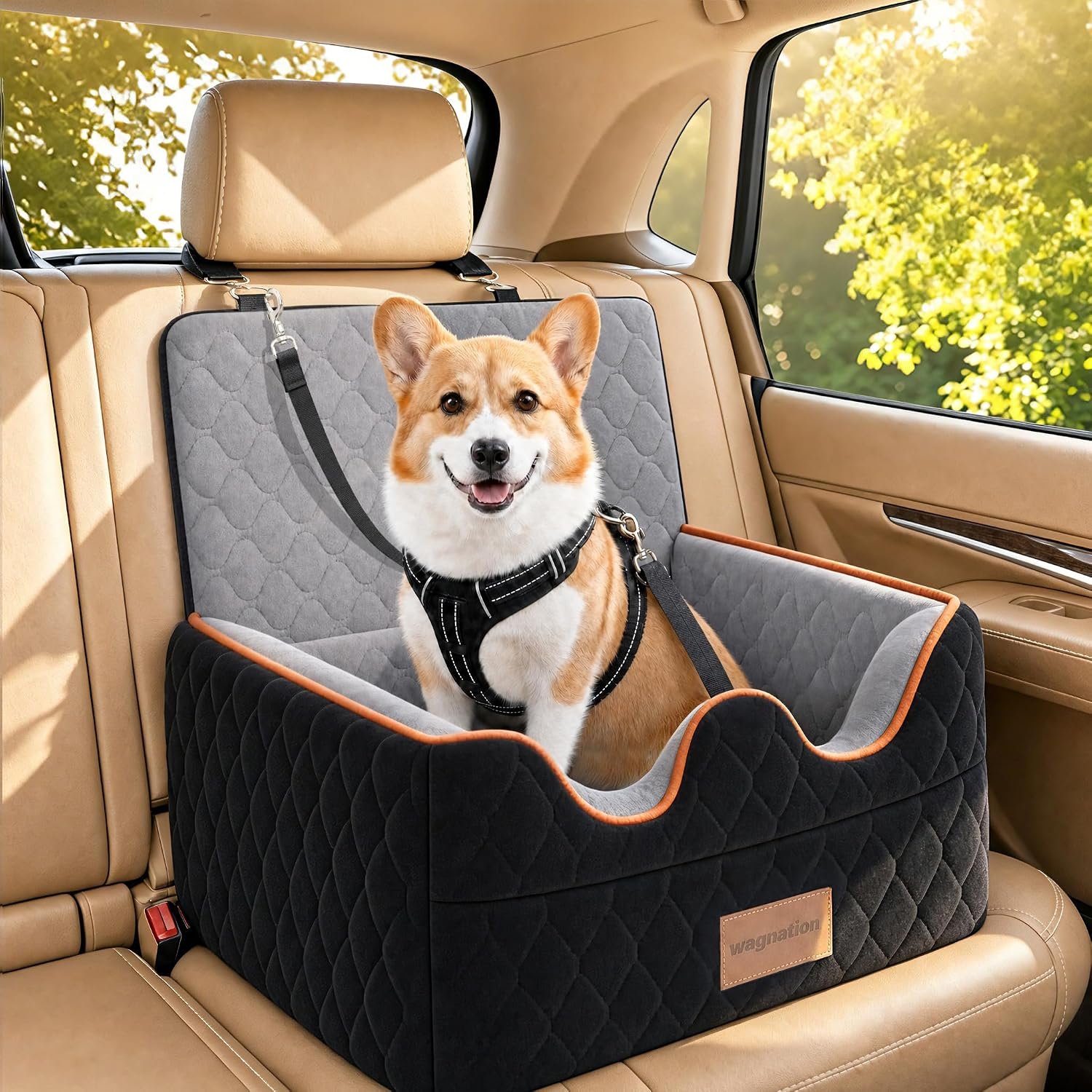 Dog Car Seat for Small/Medium Dogs Under 35lbs, Pet Booster Seat with 4In Memory Foam Cushion, Fully Detachable and Washable, Travel Dog Carseat with Storage Pocket and Safety Belt
