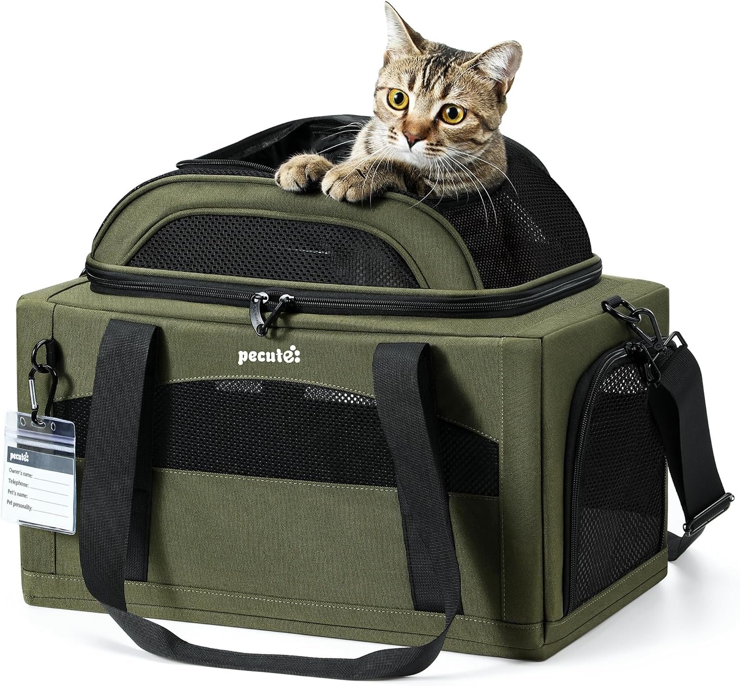 Pecute Expandable Airline Approved Pet Carrier for Cats & Dogs, Olive Green