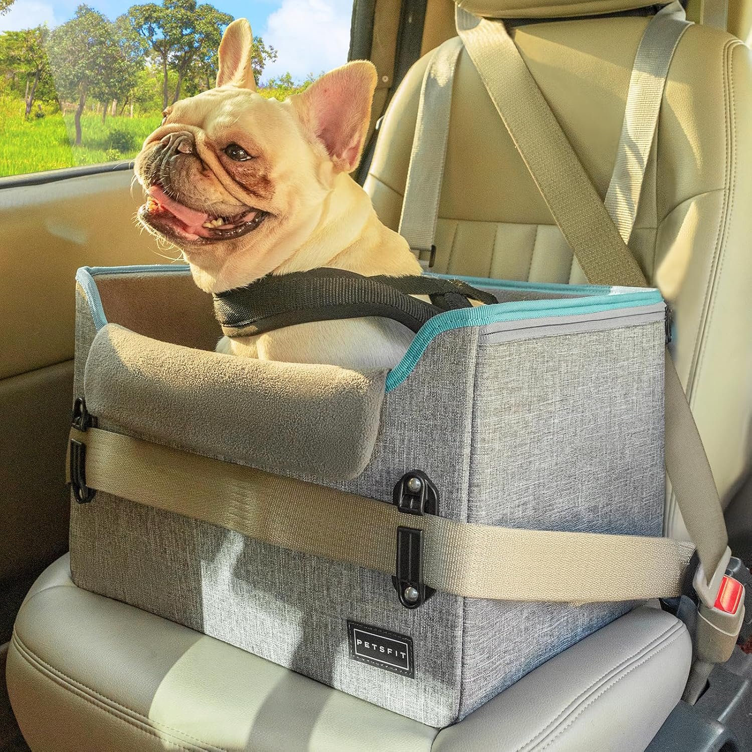 PETSFIT Dog Car Seats for Small Dogs – Patented Safety Buckles – Safety Tether – Foldable Travel Dog Booster Car Seat Reduces Anxiety & Road Trips – Stable Frame, Soft Cushion, Fits Front/Back Seat